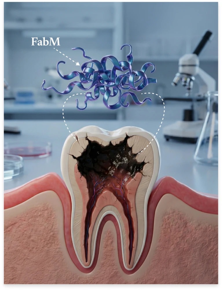 Illustration of FabM enzyme research on tooth bacteria
